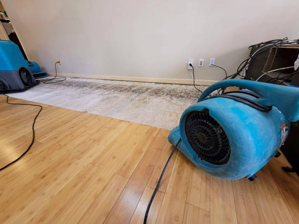 Professional Water Damage Repair technician working in Brandon, SD